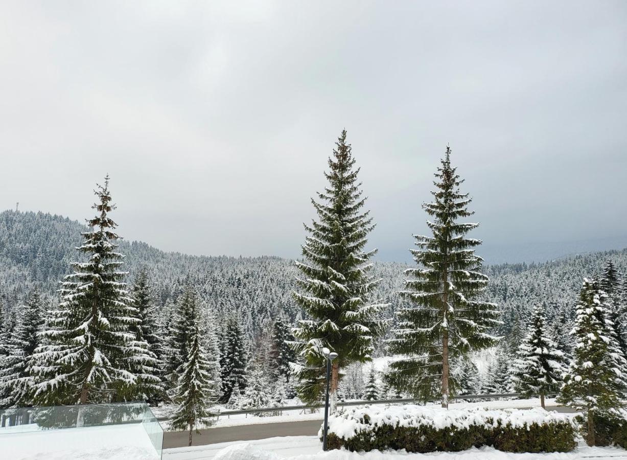 Hotel Forest Pale Bagian luar foto